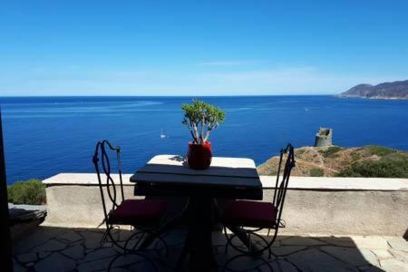 Coin De Paradis Vue Dominante Sur Mer, Montagne Et Tour Genoise Avec Jacuzzi Pino Екстериор снимка