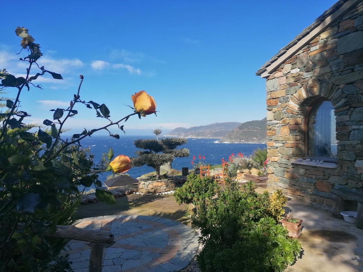 Coin De Paradis Vue Dominante Sur Mer, Montagne Et Tour Genoise Avec Jacuzzi Pino Екстериор снимка