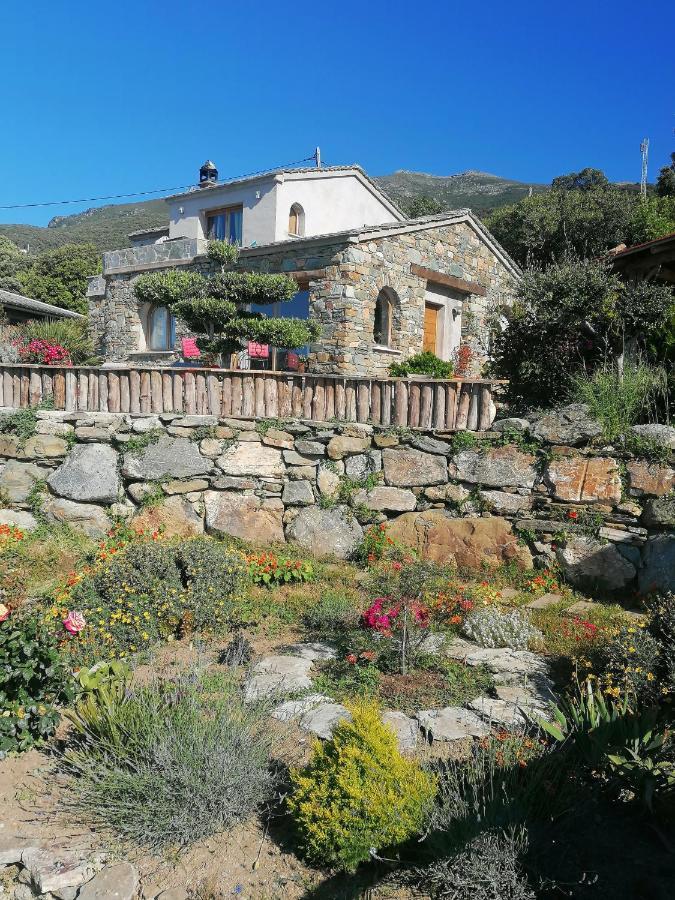 Coin De Paradis Vue Dominante Sur Mer, Montagne Et Tour Genoise Avec Jacuzzi Pino Екстериор снимка