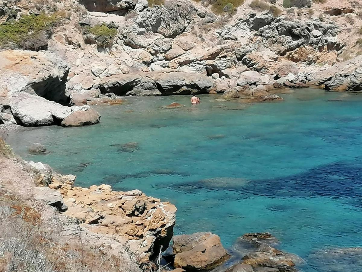 Coin De Paradis Vue Dominante Sur Mer, Montagne Et Tour Genoise Avec Jacuzzi Pino Екстериор снимка