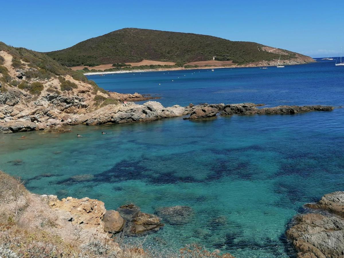 Coin De Paradis Vue Dominante Sur Mer, Montagne Et Tour Genoise Avec Jacuzzi Pino Екстериор снимка