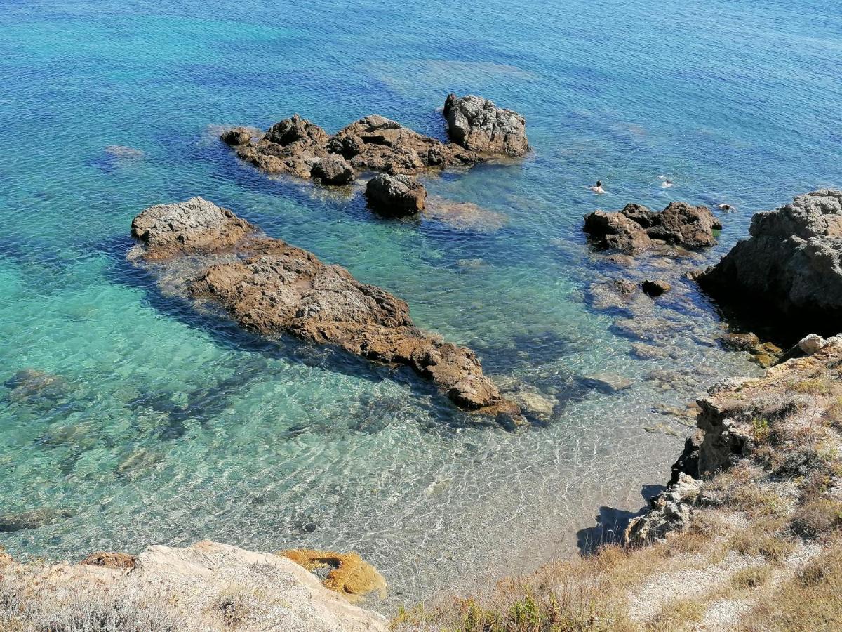 Coin De Paradis Vue Dominante Sur Mer, Montagne Et Tour Genoise Avec Jacuzzi Pino Екстериор снимка