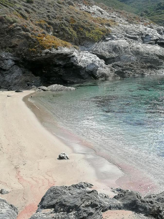 Coin De Paradis Vue Dominante Sur Mer, Montagne Et Tour Genoise Avec Jacuzzi Pino Екстериор снимка